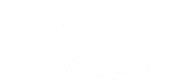 BbaLash logo
