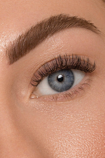 Beginner's Lash Training - CLASSIC Fundamentals Certification (Las Vegas, NV)
