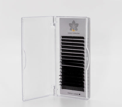Ellipse Collection Flat Lashes .15